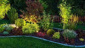 Landscaping Tips for a Low-Maintenance Yard