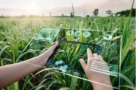 The Impact of Artificial Intelligence in Agriculture