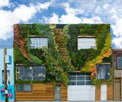 Building a Green Roof or Living Wall Yourself