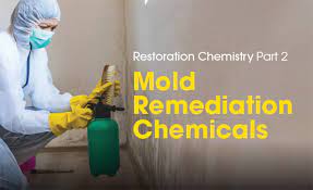 Mold and Mildew Prevention and Remediation 