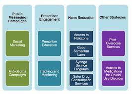 The Opioid Crisis: Public Health Strategies